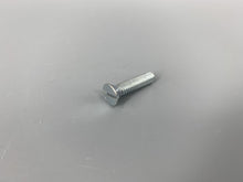 Load image into Gallery viewer, Striker Plate Screw Long Beetle -1959 For Original Plate Each