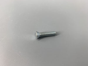 Striker Plate Screw Long Beetle -1959 For Original Plate Each