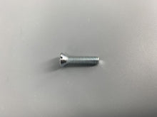 Load image into Gallery viewer, Striker Plate Screw Long Beetle -1959 For Original Plate Each