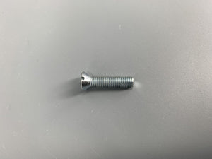 Striker Plate Screw Long Beetle -1959 For Original Plate Each