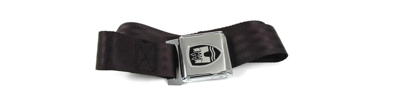Screenshot_2021-10-08_at_15-16-44_2-point_lap_seat_belt_SMXLSPTEOHQ1.png